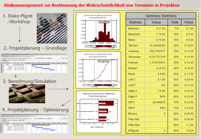 Risikomangement in Projekten Beratung